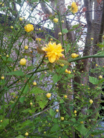 20120423190737.webp