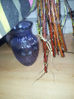 20120424160845.webp