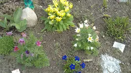 24042012561.webp