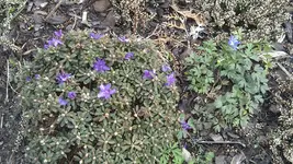 24042012562.webp