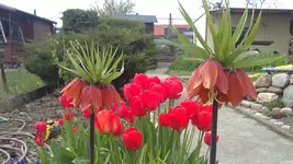 24042012563.webp
