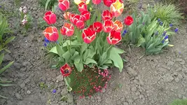 24042012564.webp