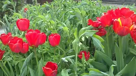 24042012565.webp