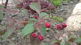 24042012566.webp