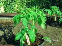 BILD0761.webp