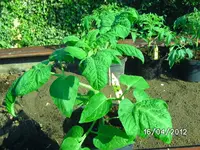 BILD0762.webp