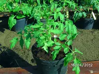 BILD0764.webp