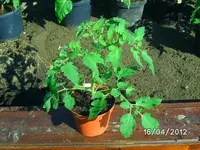 BILD0767.webp