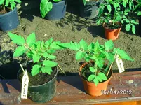 BILD0768.webp