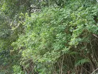 006k.webp