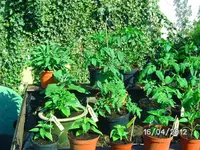 BILD0771.webp