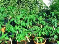 BILD0772.webp