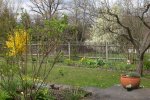 Garten 4 2012 2 002.jpg