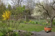 Garten 4 2012 2 002.webp