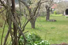 Garten 4 2012 2 004.webp
