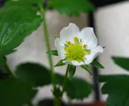 IMG_2968.webp