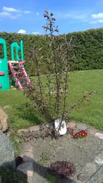 25042012567.jpg