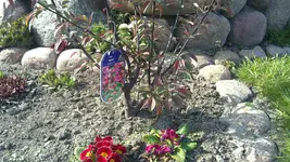 25042012568.webp