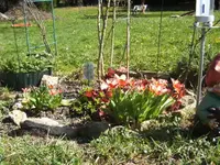 BILD1244.webp