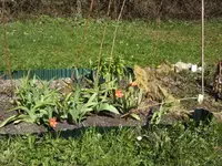 BILD1245.webp