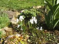 BILD1253.webp