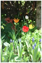 April 2012 3.webp