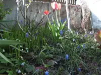 BILD1263.webp