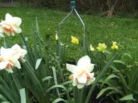 BILD1265.webp