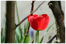April 2012 14.webp
