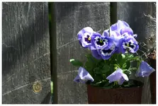 April 2012 6.webp