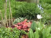 BILD1294.webp