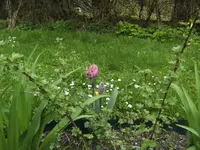 BILD1290.webp