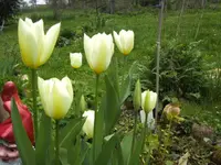 BILD1285.webp