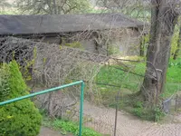 SAM_0406.webp