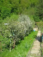 IMG_1578.webp