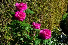 2012 0426 01 - 0013.webp