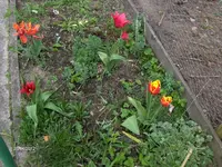 HPIM7431.webp