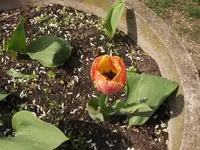 HPIM7427.webp