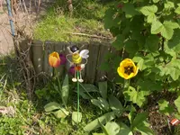 HPIM7426.webp