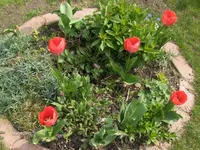 HPIM7425.webp