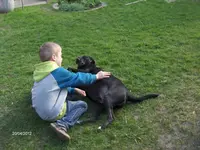 HPIM7422.webp