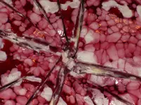 CIMG4133.webp
