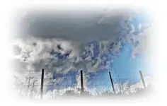 Copy of Copy of IMG_0737.webp