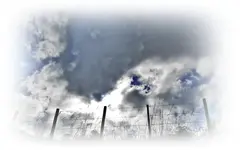 Copy of Copy of IMG_0738.webp