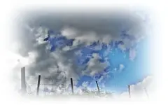 Copy of Copy of IMG_0740.webp