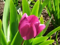 CIMG4260.webp
