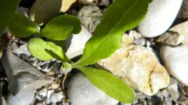 DSCN2213.webp