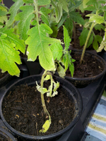20120427160903.webp