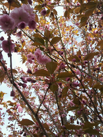 20120427161304.webp