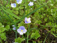 20120427161341.webp